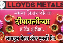 लॉयल मेटल अँड अँनर्जी लिमिटेड कडुन दिपावलीच्या शुभेच्छा