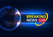 Breaking News: Naxalites killed village Patil