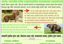 दिपावलीच्या गडचिरोली जिलावासीयांना शुभेच्छा