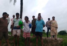 मुडझाचा गाव तलाव फुटला : मच्छीमार आणि शेतकऱ्यांना बसला फटका शेतकरी कामगार पक्षाने नुकसान भरपाईसाठी केला प्रशासनाकडे पाठपुरावा