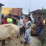 पावसामुळे पडलेल्या घरांचे पंचनामे करून नुकसान भरपाई द्या शेतकरी कामगार पक्षाच्या महिला नेत्या जयश्रीताई जराते यांची मागणी