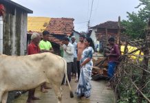पावसामुळे पडलेल्या घरांचे पंचनामे करून नुकसान भरपाई द्या शेतकरी कामगार पक्षाच्या महिला नेत्या जयश्रीताई जराते यांची मागणी