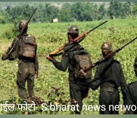 महीला मावोवादी ने केले गडचिरोली जिला पोलीस दलासमोर केले आत्मसमर्पण