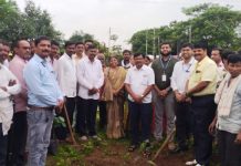 महसूल पंधरवडानिमित्त कृषी विभागामार्फत वृक्षारोपण