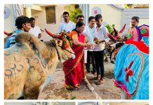 पोळ्या निमित्त आ. डॉ. देवराव होळी यांनी सपत्नीक केले बैल जोडीचे पूजन